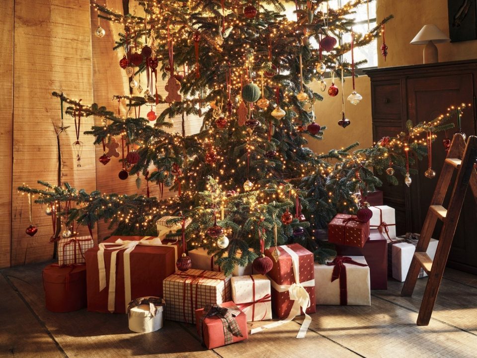 468538528_1076249333995992_1704120713585117918_n